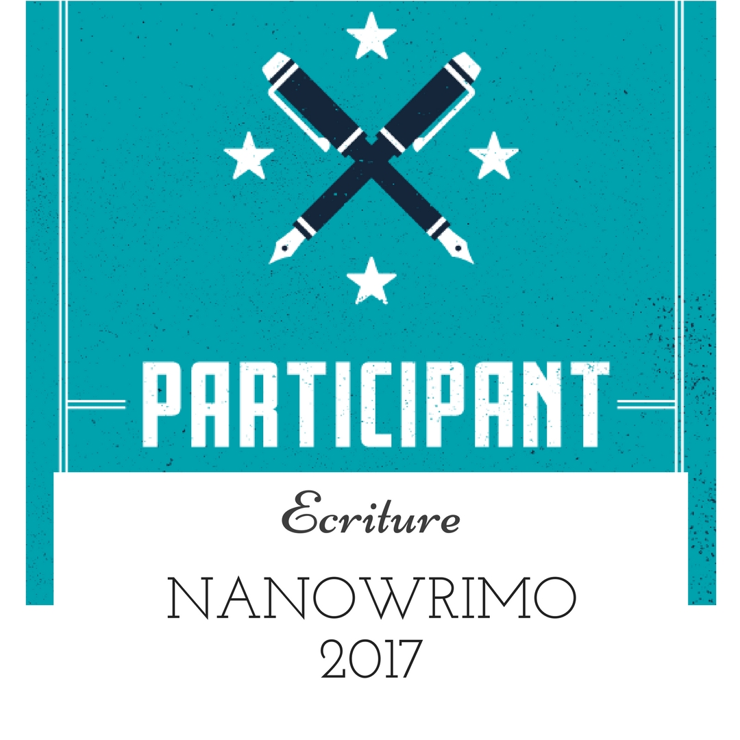 NaNoWriMo 2017 : amorcer la fin malgré le retard