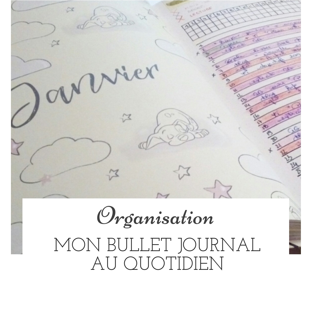 Mon Bullet Journal au quotidien