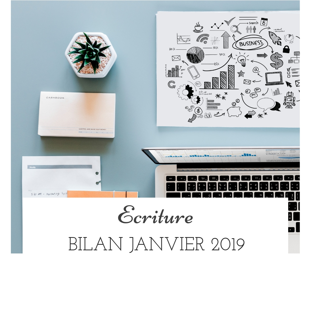 Bilan janvier 2019